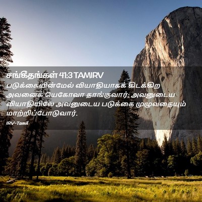 Picture 02 - சங்கீதங்கள் 41:3 TAMIRV - படுக்கையின்மேல் - Bible Verse Picture