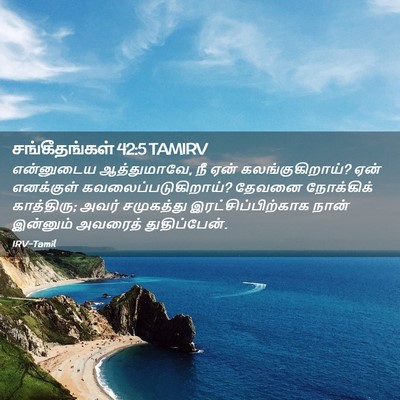 Picture 02 - சங்கீதங்கள் 42:5 TAMIRV - என்னுடைய - Bible Verse Picture