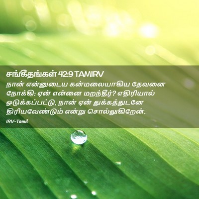 Picture 02 - சங்கீதங்கள் 42:9 TAMIRV - நான் என்னுடைய - Bible Verse Picture