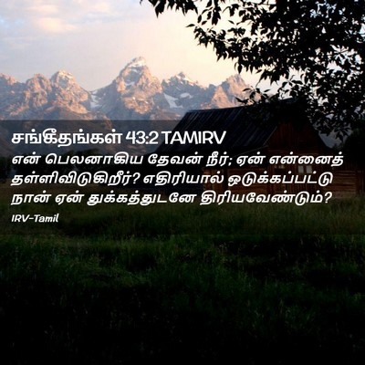 Picture 02 - சங்கீதங்கள் 43:2 TAMIRV - என் பெலனாகிய - Bible Verse Picture