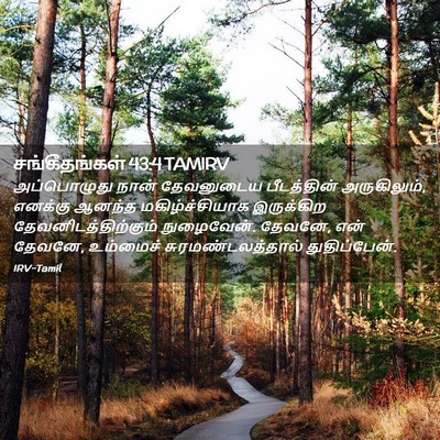 Picture 02 - சங்கீதங்கள் 43:4 TAMIRV - அப்பொழுது நான் - Bible Verse Picture