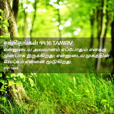 Picture 02 - சங்கீதங்கள் 44:16 TAMIRV - என்னுடைய அவமானம் - Bible Verse Picture
