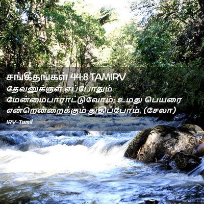 Picture 02 - சங்கீதங்கள் 44:8 TAMIRV - தேவனுக்குள் - Bible Verse Picture