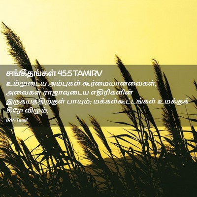 Picture 02 - சங்கீதங்கள் 45:5 TAMIRV - உம்முடைய அம்புகள் - Bible Verse Picture