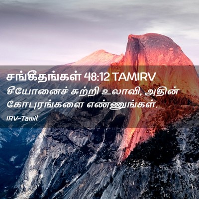 Picture 02 - சங்கீதங்கள் 48:12 TAMIRV - சீயோனைச் சுற்றி - Bible Verse Picture