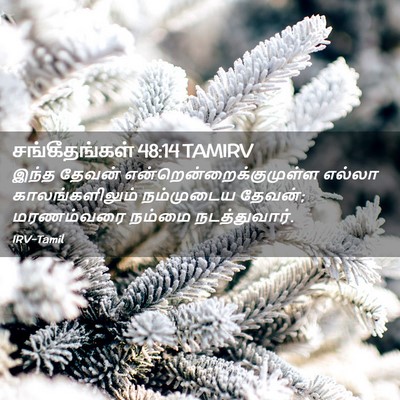 Picture 02 - சங்கீதங்கள் 48:14 TAMIRV - இந்த தேவன் - Bible Verse Picture