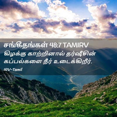 Picture 02 - சங்கீதங்கள் 48:7 TAMIRV - கிழக்கு - Bible Verse Picture