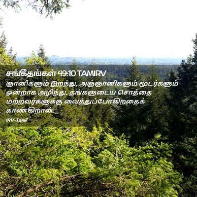 Picture 02 - சங்கீதங்கள் 49:10 TAMIRV - ஞானிகளும் இறந்து, - Bible Verse Picture