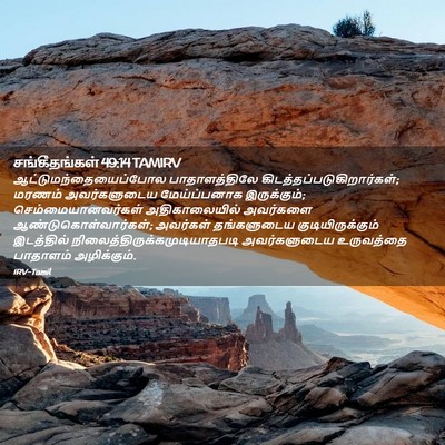 Picture 02 - சங்கீதங்கள் 49:14 TAMIRV -  - Bible Verse Picture