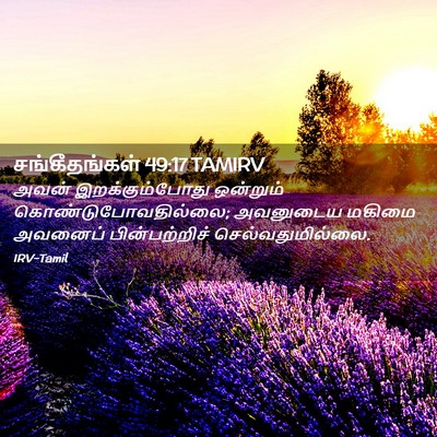 Picture 02 - சங்கீதங்கள் 49:17 TAMIRV - அவன் இறக்கும்போது - Bible Verse Picture