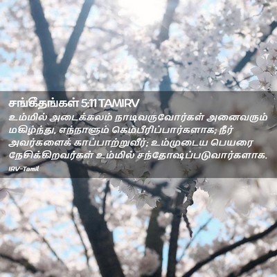 Picture 02 - சங்கீதங்கள் 5:11 TAMIRV - உம்மில் அடைக்கலம் - Bible Verse Picture