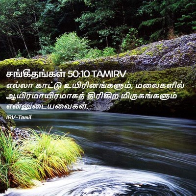 Picture 02 - சங்கீதங்கள் 50:10 TAMIRV - எல்லா காட்டு - Bible Verse Picture