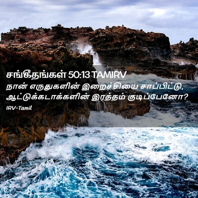 Picture 02 - சங்கீதங்கள் 50:13 TAMIRV - நான் எருதுகளின் - Bible Verse Picture