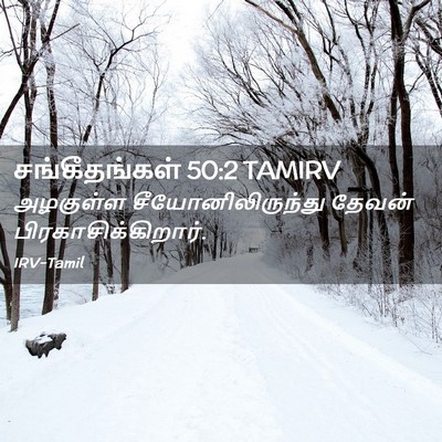 Picture 02 - சங்கீதங்கள் 50:2 TAMIRV - அழகுள்ள - Bible Verse Picture