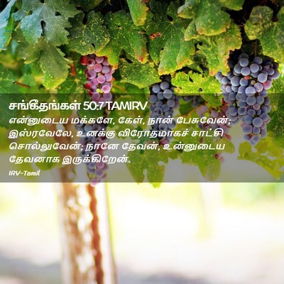 Picture 02 - சங்கீதங்கள் 50:7 TAMIRV - என்னுடைய மக்களே, - Bible Verse Picture