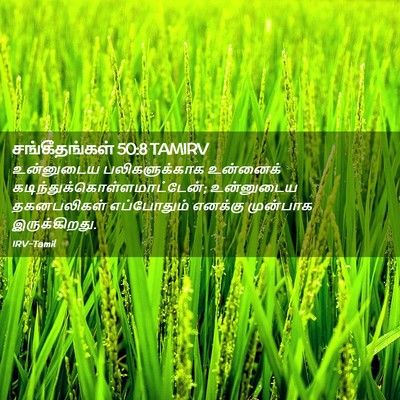 Picture 02 - சங்கீதங்கள் 50:8 TAMIRV - உன்னுடைய - Bible Verse Picture