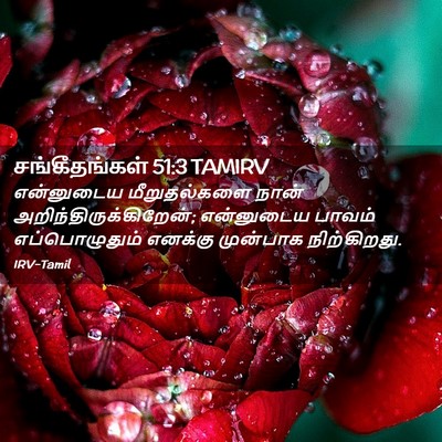 Picture 02 - சங்கீதங்கள் 51:3 TAMIRV - என்னுடைய - Bible Verse Picture