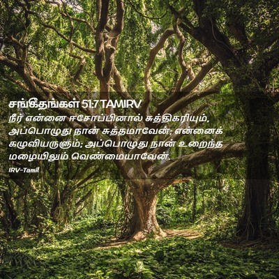 Picture 02 - சங்கீதங்கள் 51:7 TAMIRV - நீர் என்னை - Bible Verse Picture