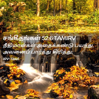Picture 02 - சங்கீதங்கள் 52:6 TAMIRV - நீதிமான்கள் - Bible Verse Picture