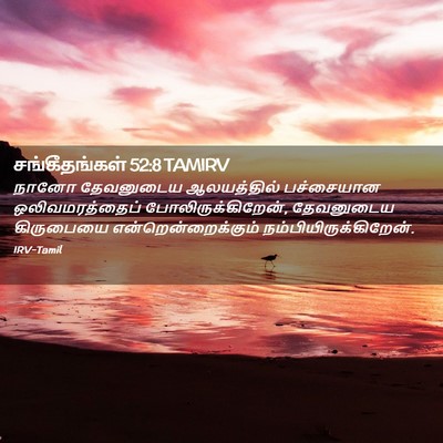 Picture 02 - சங்கீதங்கள் 52:8 TAMIRV - நானோ தேவனுடைய - Bible Verse Picture