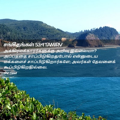 Picture 02 - சங்கீதங்கள் 53:4 TAMIRV -  - Bible Verse Picture