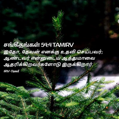 Picture 02 - சங்கீதங்கள் 54:4 TAMIRV - இதோ, தேவன் எனக்கு - Bible Verse Picture