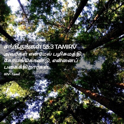 Picture 02 - சங்கீதங்கள் 55:3 TAMIRV - அவர்கள் என்மேல் - Bible Verse Picture
