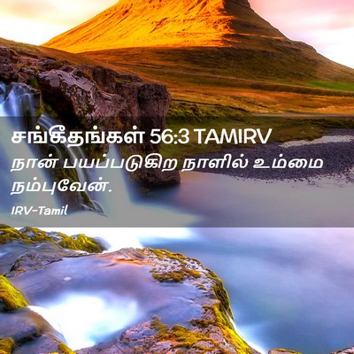 Picture 02 - சங்கீதங்கள் 56:3 TAMIRV - நான் பயப்படுகிற - Bible Verse Picture