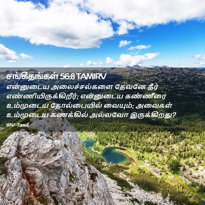 Picture 02 - சங்கீதங்கள் 56:8 TAMIRV - என்னுடைய - Bible Verse Picture