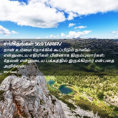 Picture 02 - சங்கீதங்கள் 56:9 TAMIRV - நான் உம்மை - Bible Verse Picture
