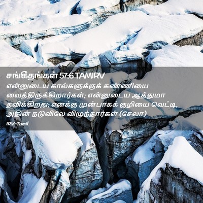 Picture 02 - சங்கீதங்கள் 57:6 TAMIRV - என்னுடைய - Bible Verse Picture