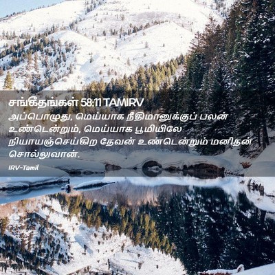 Picture 02 - சங்கீதங்கள் 58:11 TAMIRV - அப்பொழுது, - Bible Verse Picture