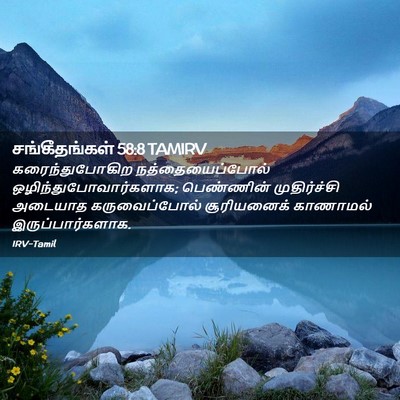 Picture 02 - சங்கீதங்கள் 58:8 TAMIRV - கரைந்துபோகிற - Bible Verse Picture