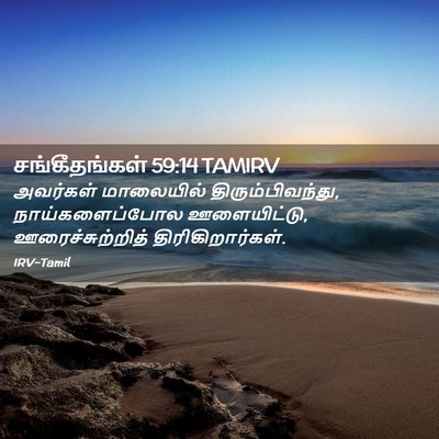 Picture 02 - சங்கீதங்கள் 59:14 TAMIRV - அவர்கள் மாலையில் - Bible Verse Picture