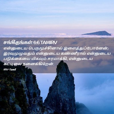 Picture 02 - சங்கீதங்கள் 6:6 TAMIRV - என்னுடைய - Bible Verse Picture