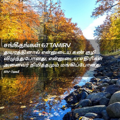Picture 02 - சங்கீதங்கள் 6:7 TAMIRV - துயரத்தினால் - Bible Verse Picture