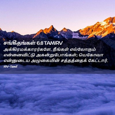 Picture 02 - சங்கீதங்கள் 6:8 TAMIRV -  - Bible Verse Picture