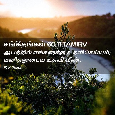 Picture 02 - சங்கீதங்கள் 60:11 TAMIRV - ஆபத்தில் - Bible Verse Picture