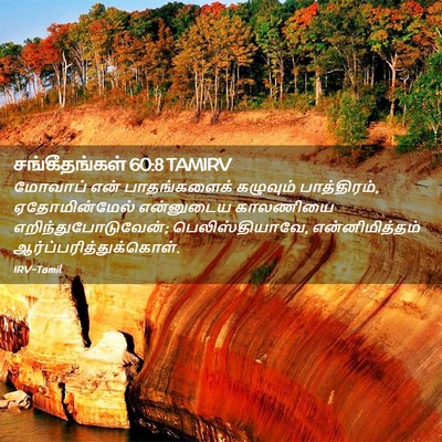 Picture 02 - சங்கீதங்கள் 60:8 TAMIRV - மோவாப் என் - Bible Verse Picture