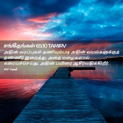 Picture 02 - சங்கீதங்கள் 65:10 TAMIRV - அதின் வரப்புகள் - Bible Verse Picture