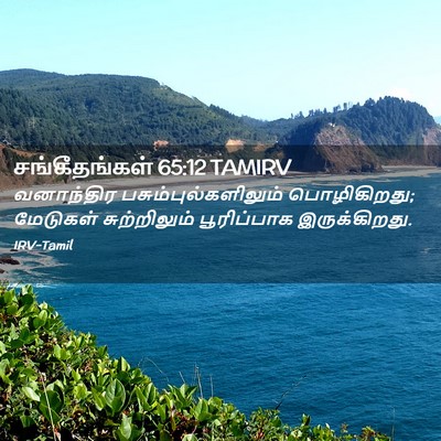 Picture 02 - சங்கீதங்கள் 65:12 TAMIRV - வனாந்திர - Bible Verse Picture