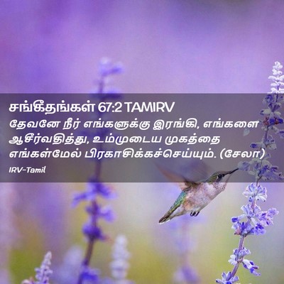 Picture 02 - சங்கீதங்கள் 67:2 TAMIRV - தேவனே நீர் - Bible Verse Picture