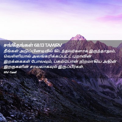 Picture 02 - சங்கீதங்கள் 68:13 TAMIRV - நீங்கள் - Bible Verse Picture