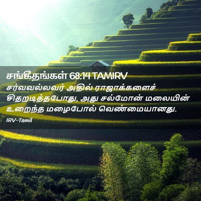 Picture 02 - சங்கீதங்கள் 68:14 TAMIRV - சர்வவல்லவர் அதில் - Bible Verse Picture