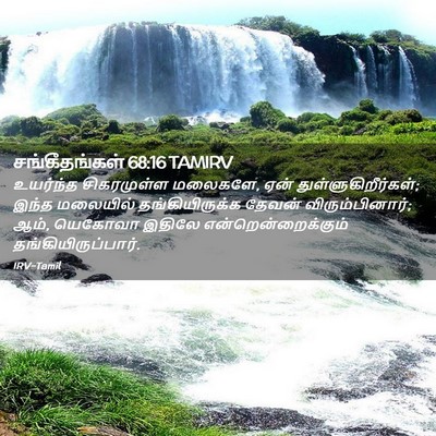 Picture 02 - சங்கீதங்கள் 68:16 TAMIRV - உயர்ந்த சிகரமுள்ள - Bible Verse Picture