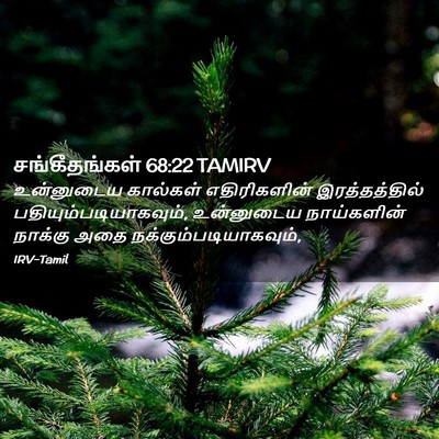 Picture 02 - சங்கீதங்கள் 68:22 TAMIRV - உன்னுடைய கால்கள் - Bible Verse Picture