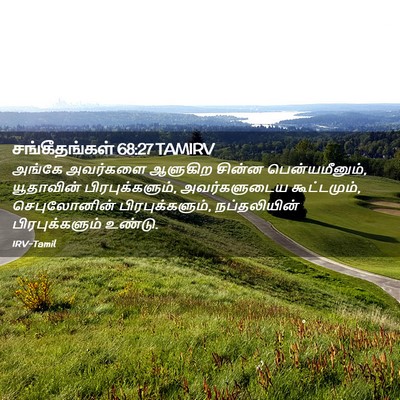 Picture 02 - சங்கீதங்கள் 68:27 TAMIRV - அங்கே அவர்களை - Bible Verse Picture