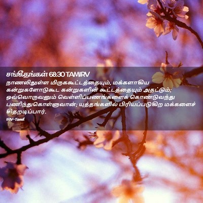 Picture 02 - சங்கீதங்கள் 68:30 TAMIRV - நாணலிலுள்ள - Bible Verse Picture