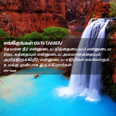 Picture 02 - சங்கீதங்கள் 69:19 TAMIRV - தேவனே நீர் - Bible Verse Picture