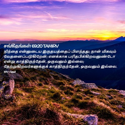 Picture 02 - சங்கீதங்கள் 69:20 TAMIRV - நிந்தை என்னுடைய - Bible Verse Picture